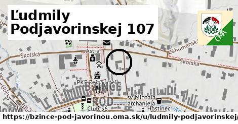 Ľudmily Podjavorinskej 107, Bzince pod Javorinou