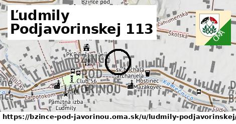 Ľudmily Podjavorinskej 113, Bzince pod Javorinou