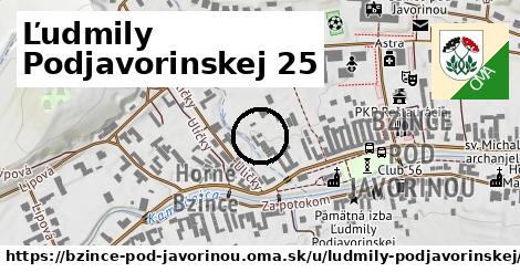 Ľudmily Podjavorinskej 25, Bzince pod Javorinou