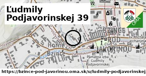 Ľudmily Podjavorinskej 39, Bzince pod Javorinou