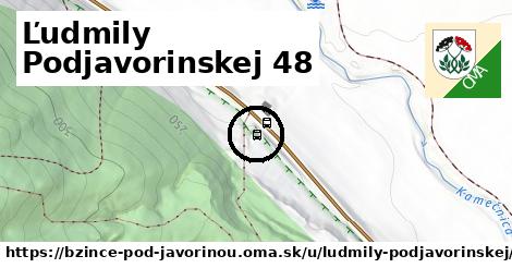 Ľudmily Podjavorinskej 48, Bzince pod Javorinou