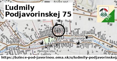 Ľudmily Podjavorinskej 75, Bzince pod Javorinou