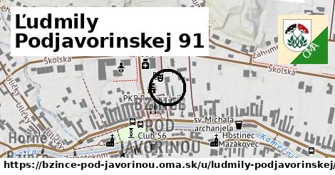 Ľudmily Podjavorinskej 91, Bzince pod Javorinou