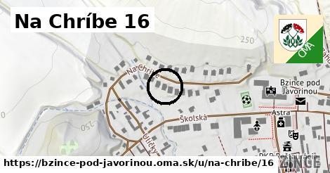 Na Chríbe 16, Bzince pod Javorinou