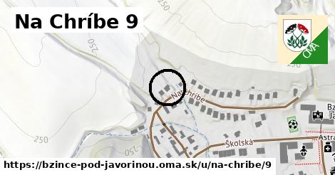 Na Chríbe 9, Bzince pod Javorinou