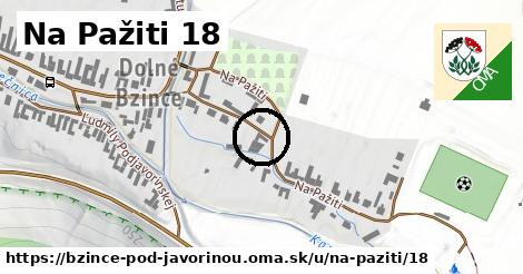 Na Pažiti 18, Bzince pod Javorinou