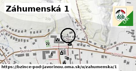 Záhumenská 1, Bzince pod Javorinou