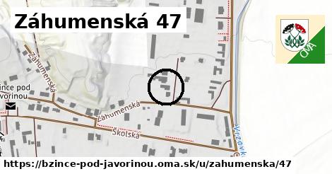 Záhumenská 47, Bzince pod Javorinou