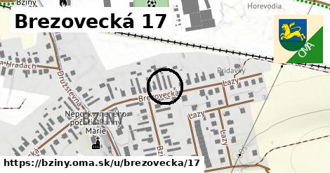 Brezovecká 17, Bziny