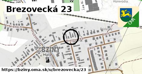 Brezovecká 23, Bziny