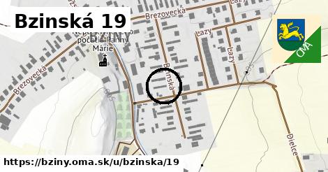 Bzinská 19, Bziny