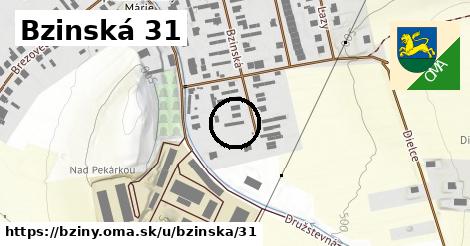 Bzinská 31, Bziny