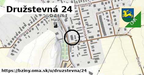 Družstevná 24, Bziny