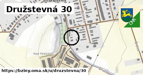 Družstevná 30, Bziny