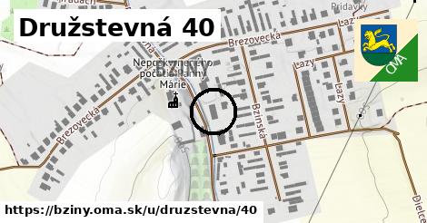 Družstevná 40, Bziny