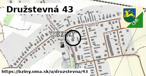 Družstevná 43, Bziny