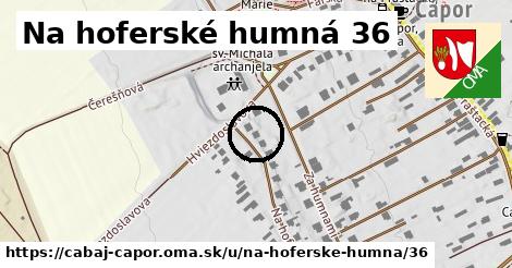 Na hoferské humná 36, Cabaj - Čápor