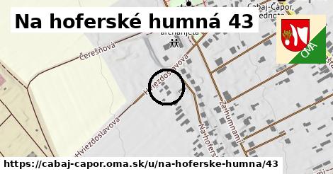 Na hoferské humná 43, Cabaj - Čápor