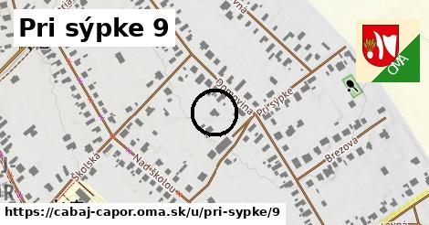 Pri sýpke 9, Cabaj - Čápor