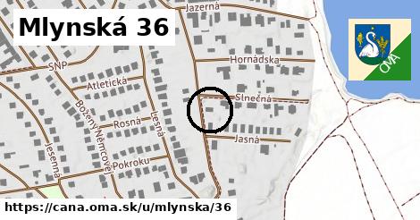 Mlynská 36, Čaňa