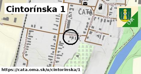 Cintorínska 1, Čata