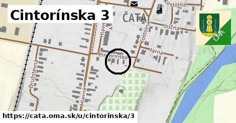 Cintorínska 3, Čata
