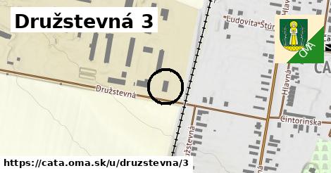 Družstevná 3, Čata