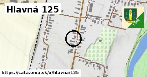 Hlavná 125, Čata
