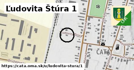 Ľudovita Štúra 1, Čata