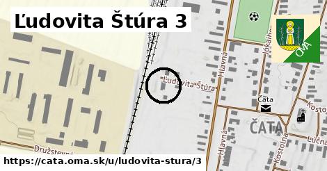 Ľudovita Štúra 3, Čata