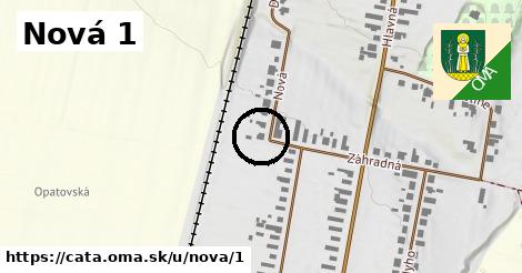 Nová 1, Čata