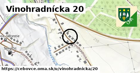 Vinohradnícka 20, Čebovce