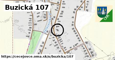 Buzická 107, Čečejovce