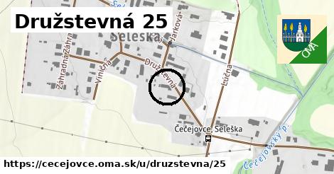 Družstevná 25, Čečejovce