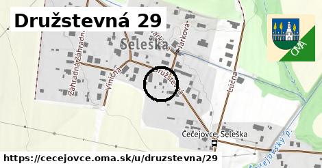 Družstevná 29, Čečejovce