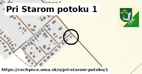 Pri Starom potoku 1, Čechynce