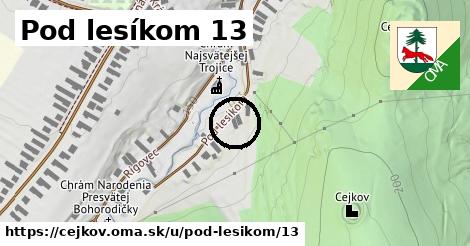 Pod lesíkom 13, Cejkov