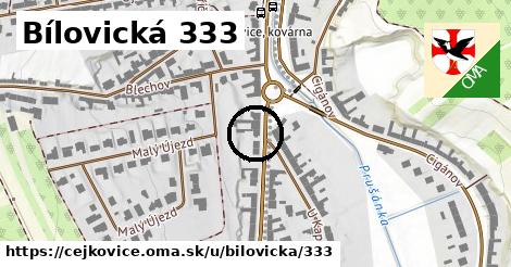 Bílovická 333, Čejkovice