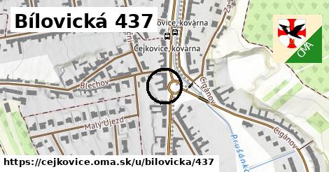 Bílovická 437, Čejkovice