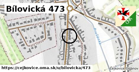 Bílovická 473, Čejkovice