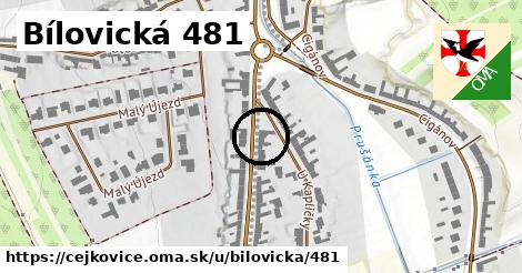 Bílovická 481, Čejkovice