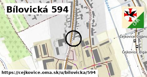 Bílovická 594, Čejkovice