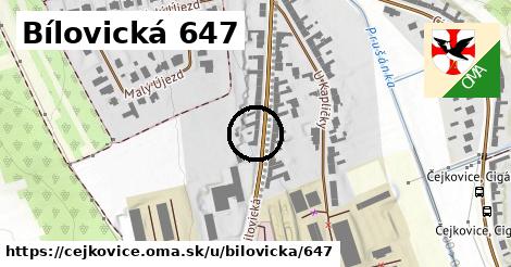 Bílovická 647, Čejkovice