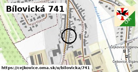 Bílovická 741, Čejkovice