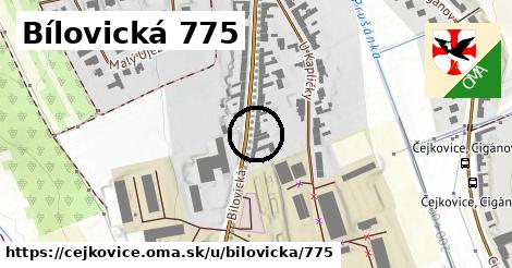 Bílovická 775, Čejkovice