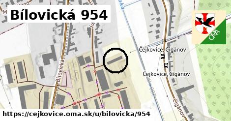 Bílovická 954, Čejkovice