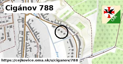 Cigánov 788, Čejkovice