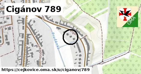 Cigánov 789, Čejkovice