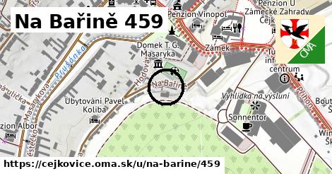 Na Bařině 459, Čejkovice