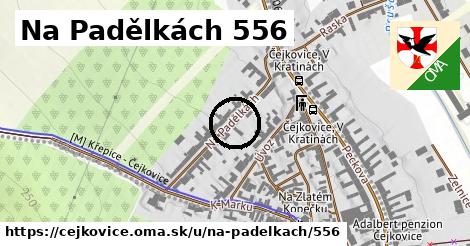 Na Padělkách 556, Čejkovice